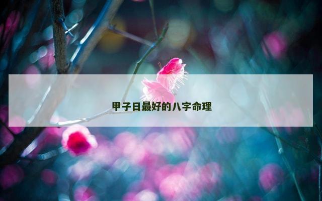 甲子日最好的八字命理