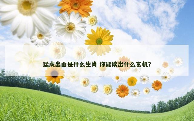 猛虎出山是什么生肖 你能读出什么玄机？