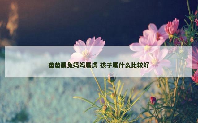 爸爸属兔妈妈属虎 孩子属什么比较好