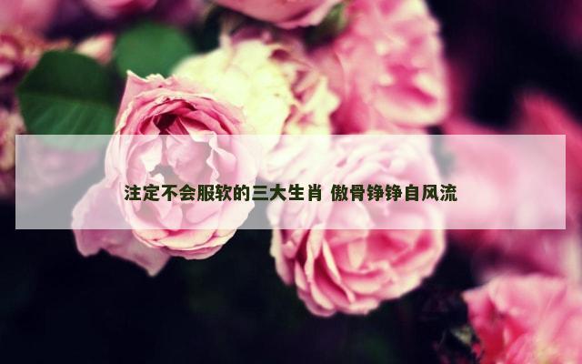 注定不会服软的三大生肖 傲骨铮铮自风流