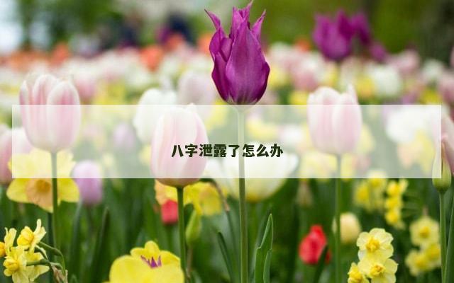 八字泄露了怎么办