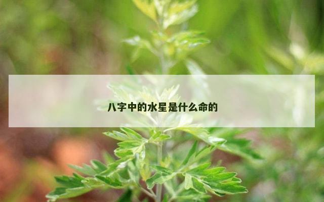 八字中的水星是什么命的