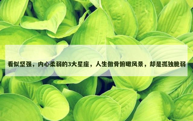 看似坚强，内心柔弱的3大星座，人生傲骨俯瞰风景，却是孤独脆弱
