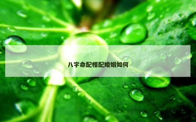 八字命配相配婚姻如何