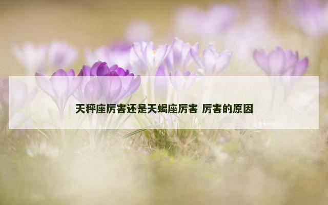 天秤座厉害还是天蝎座厉害 厉害的原因