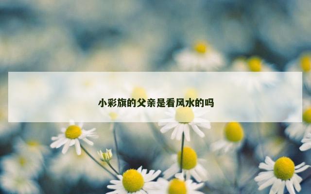小彩旗的父亲是看风水的吗
