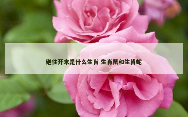 继往开来是什么生肖 生肖鼠和生肖蛇