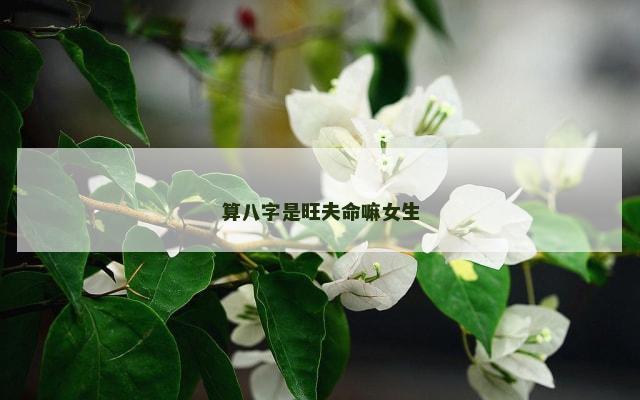 算八字是旺夫命嘛女生