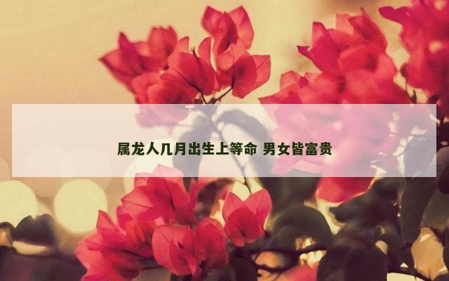 属龙人几月出生上等命 男女皆富贵