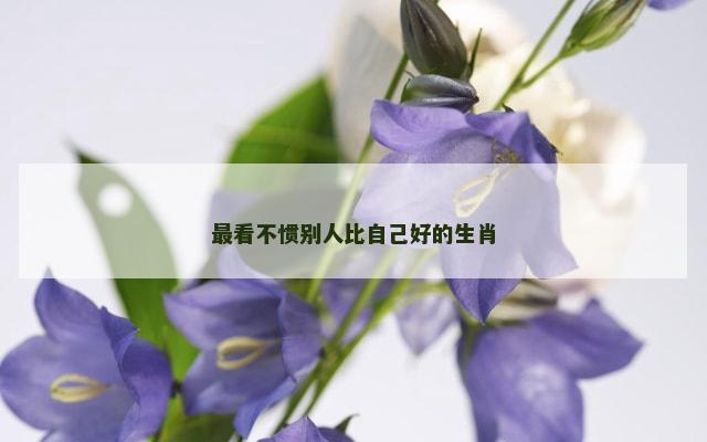 最看不惯别人比自己好的生肖