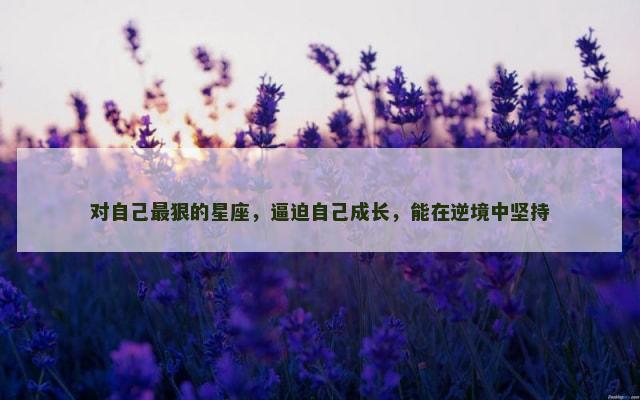 对自己最狠的星座，逼迫自己成长，能在逆境中坚持