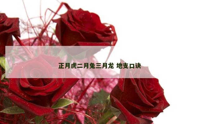 正月虎二月兔三月龙 地支口诀