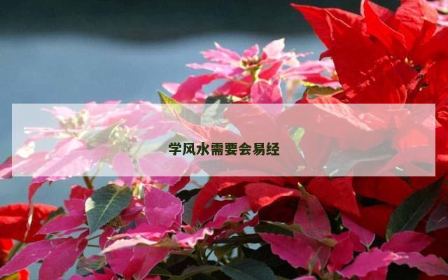 学风水需要会易经