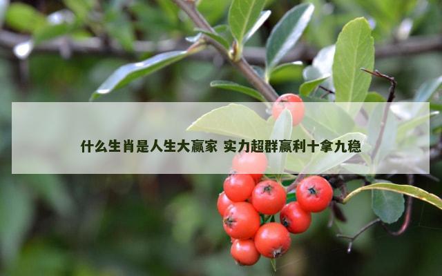 什么生肖是人生大赢家 实力超群赢利十拿九稳