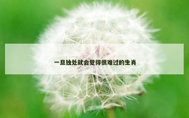 一旦独处就会觉得很难过的生肖