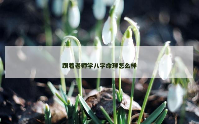 跟着老师学八字命理怎么样