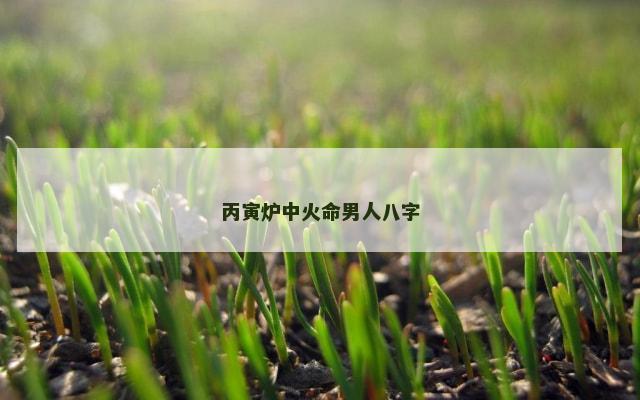 丙寅炉中火命男人八字