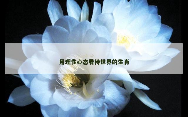 用理性心态看待世界的生肖