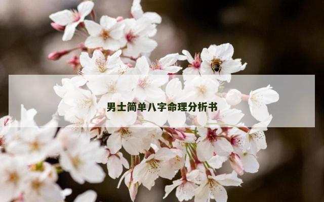 男士简单八字命理分析书
