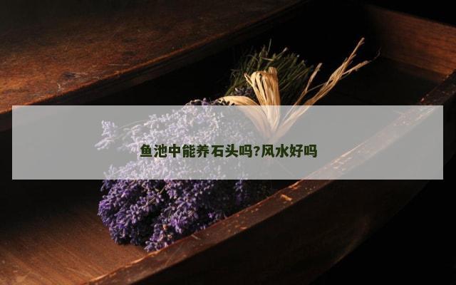 鱼池中能养石头吗?风水好吗