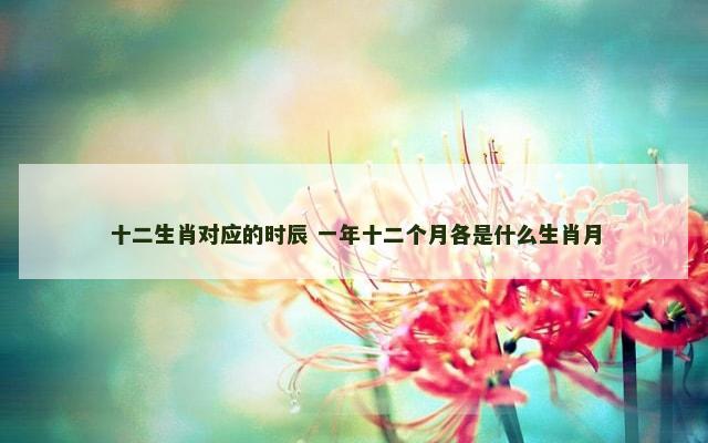 十二生肖对应的时辰 一年十二个月各是什么生肖月