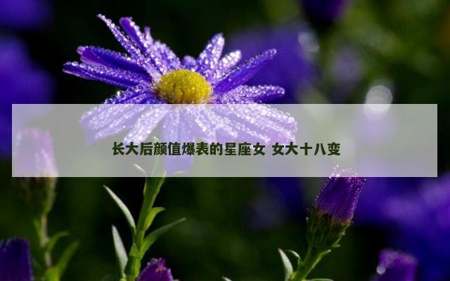 长大后颜值爆表的星座女 女大十八变