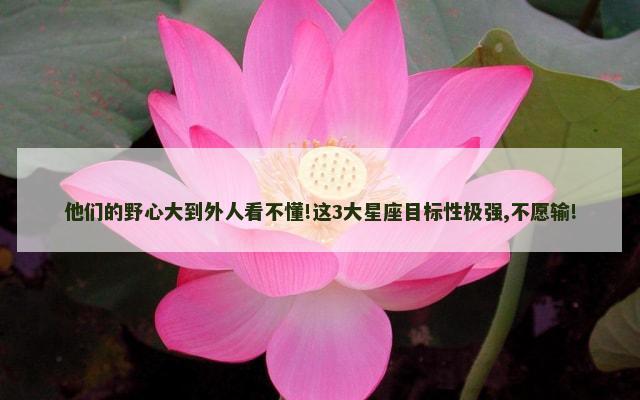他们的野心大到外人看不懂!这3大星座目标性极强,不愿输!