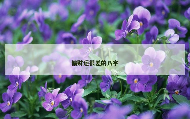 偏财运很差的八字