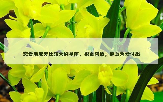 恋爱后反差比较大的星座，很重感情，愿意为爱付出