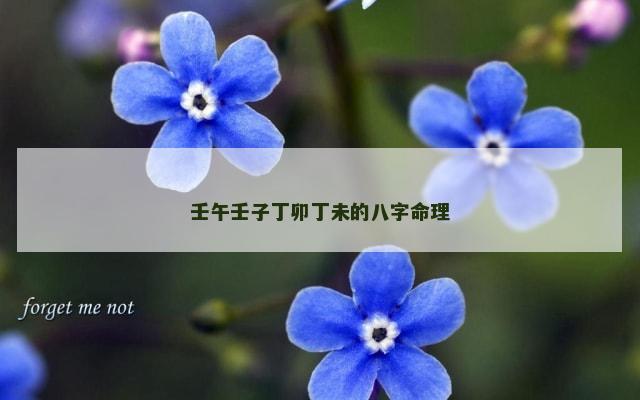 壬午壬子丁卯丁未的八字命理