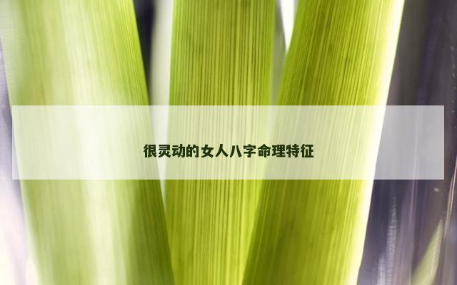 很灵动的女人八字命理特征