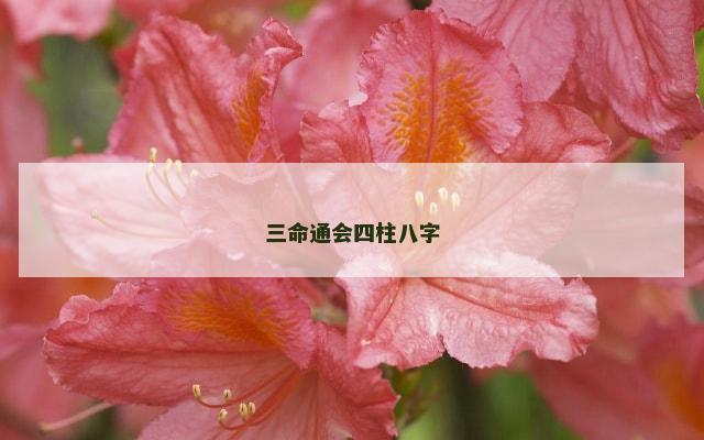 三命通会四柱八字