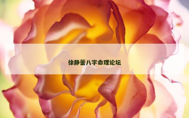 徐静蕾八字命理论坛