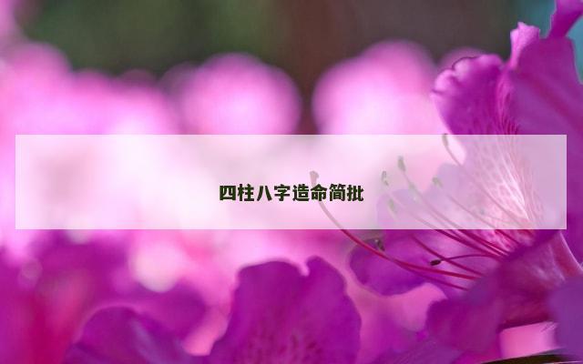 四柱八字造命简批