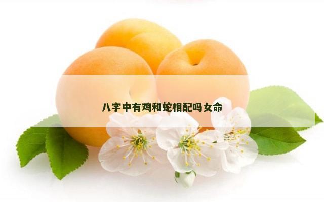 八字中有鸡和蛇相配吗女命