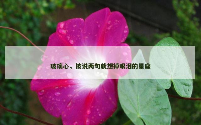 玻璃心，被说两句就想掉眼泪的星座