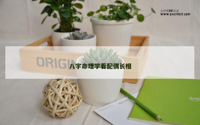 八字命理学看配偶长相