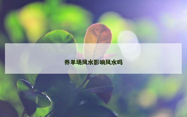 养羊场风水影响风水吗