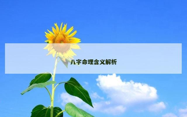 八字命理含义解析