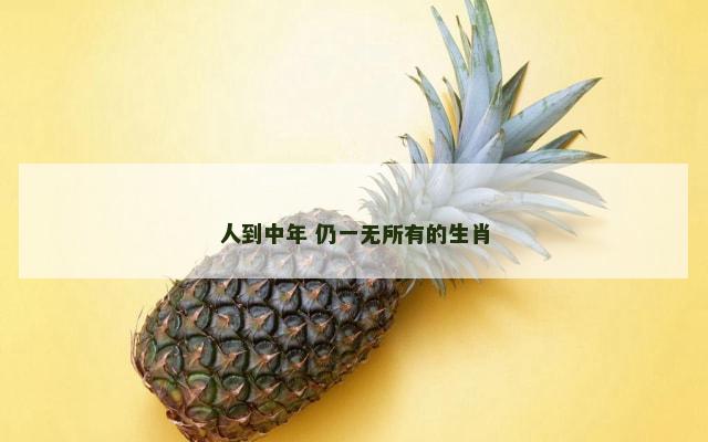 人到中年 仍一无所有的生肖