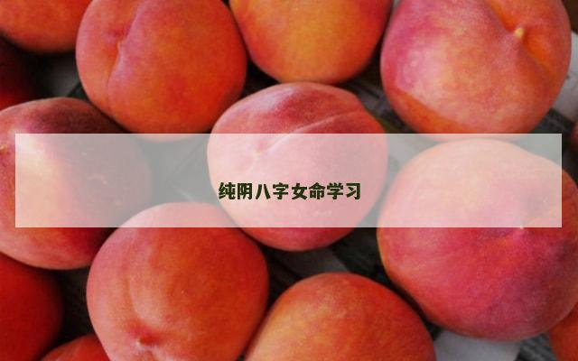 纯阴八字女命学习