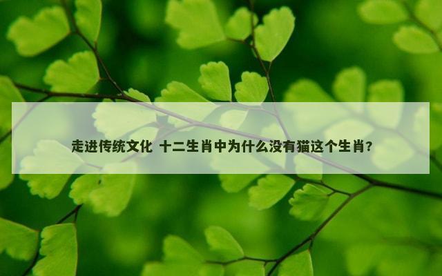 走进传统文化 十二生肖中为什么没有猫这个生肖?