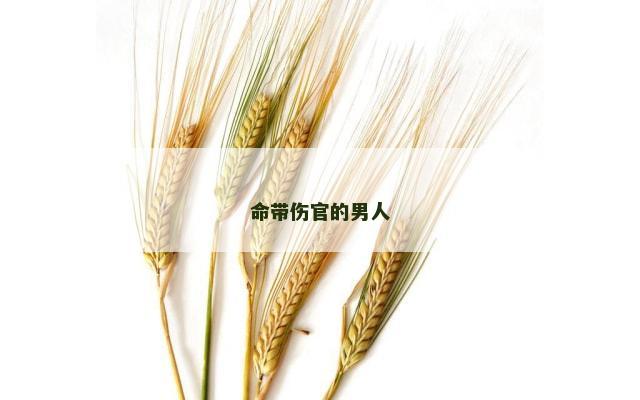 命带伤官的男人