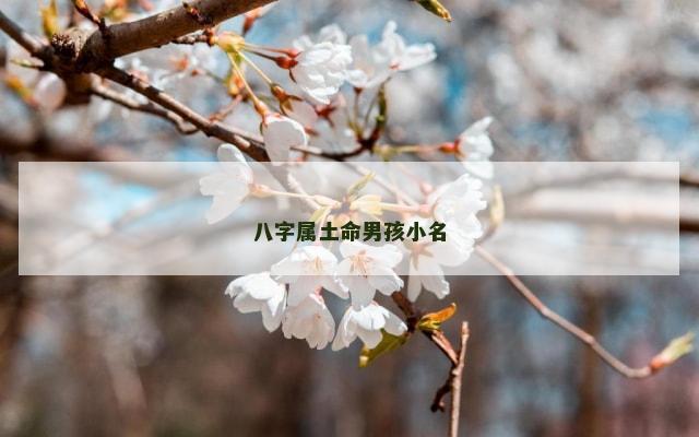 八字属土命男孩小名