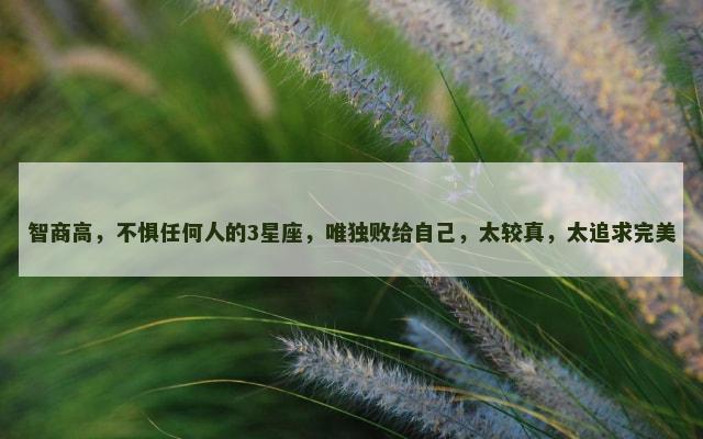 智商高，不惧任何人的3星座，唯独败给自己，太较真，太追求完美