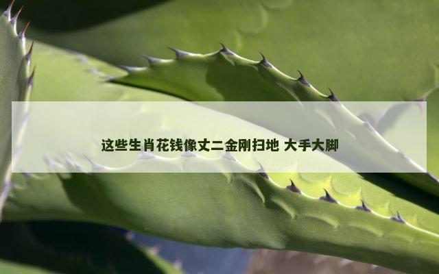 这些生肖花钱像丈二金刚扫地 大手大脚