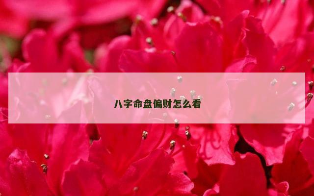 八字命盘偏财怎么看