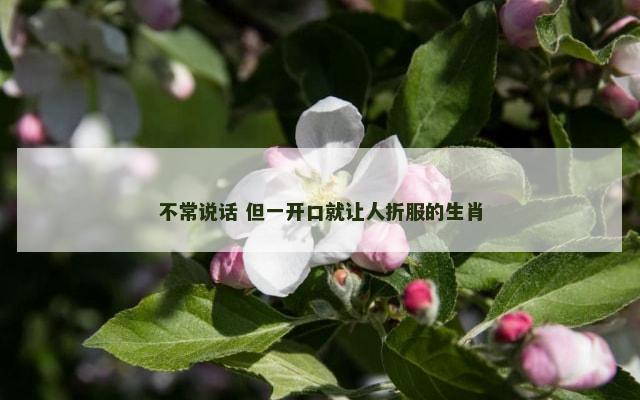 不常说话 但一开口就让人折服的生肖
