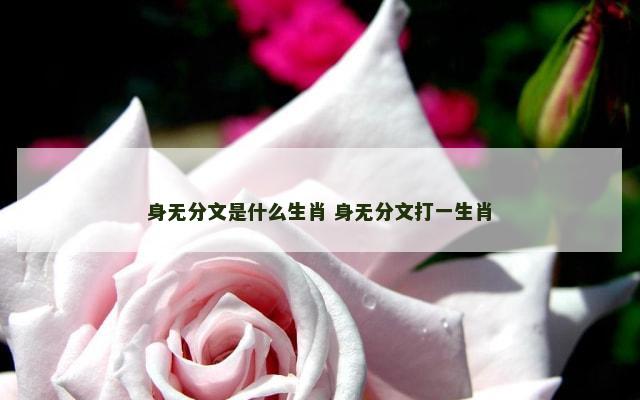 身无分文是什么生肖 身无分文打一生肖