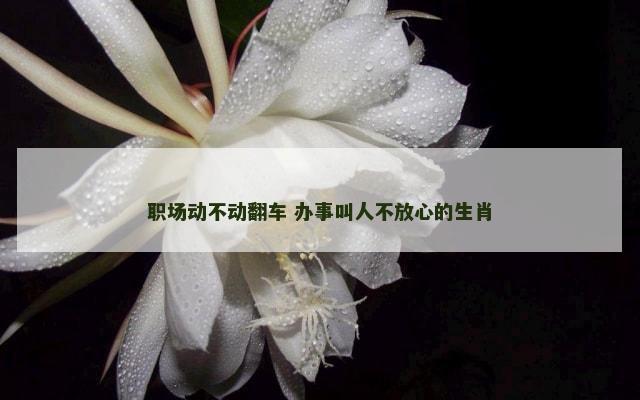 职场动不动翻车 办事叫人不放心的生肖